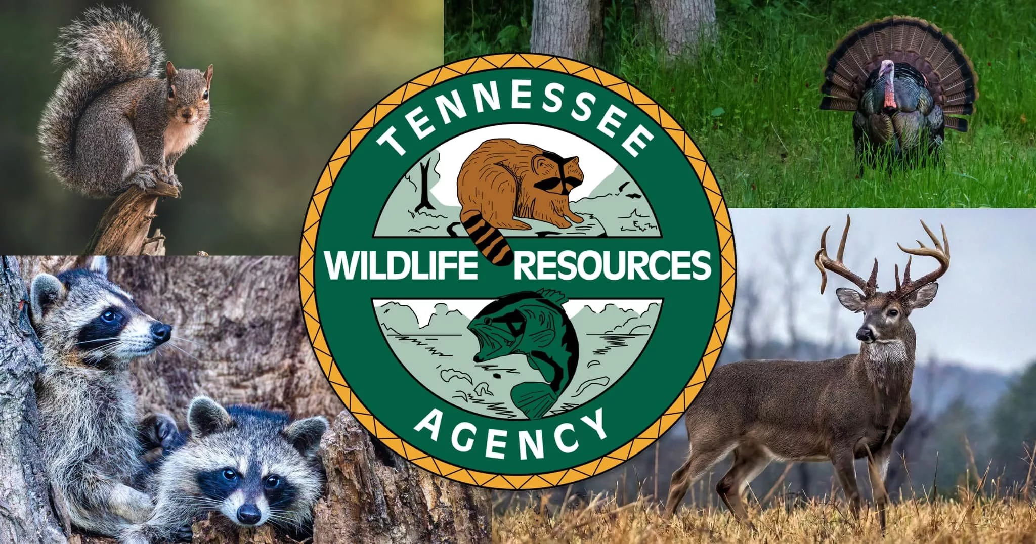 tennessee-wildlife