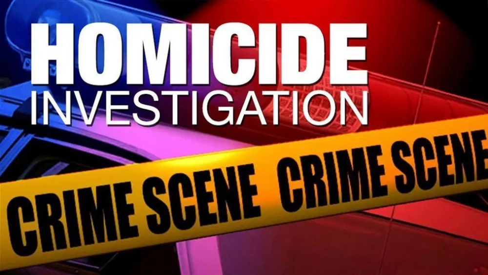 homicide-2