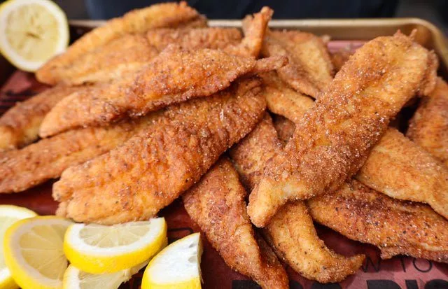 catfish