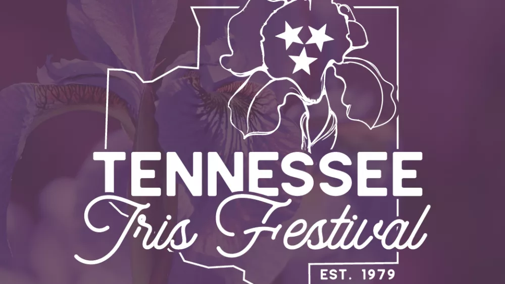 iris-fest-logo