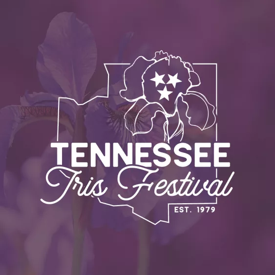 iris-fest-logo