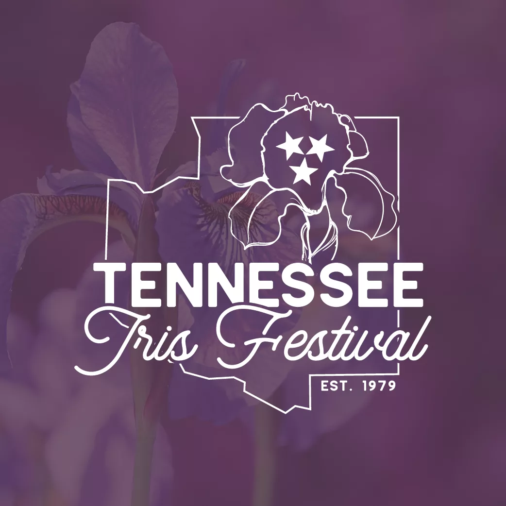 iris-fest-logo