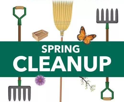 clean-up-2