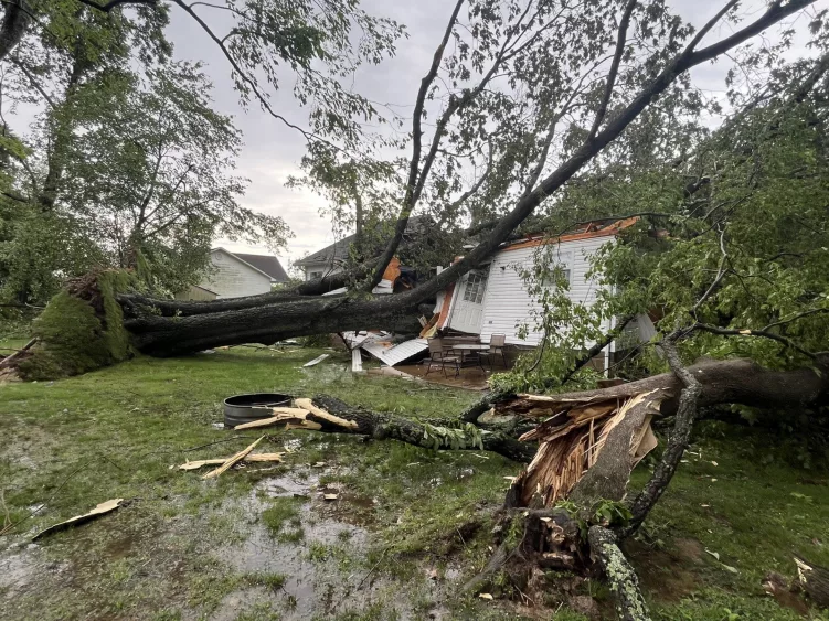 martin-storm-damage