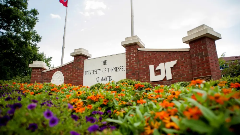 utm-11-2