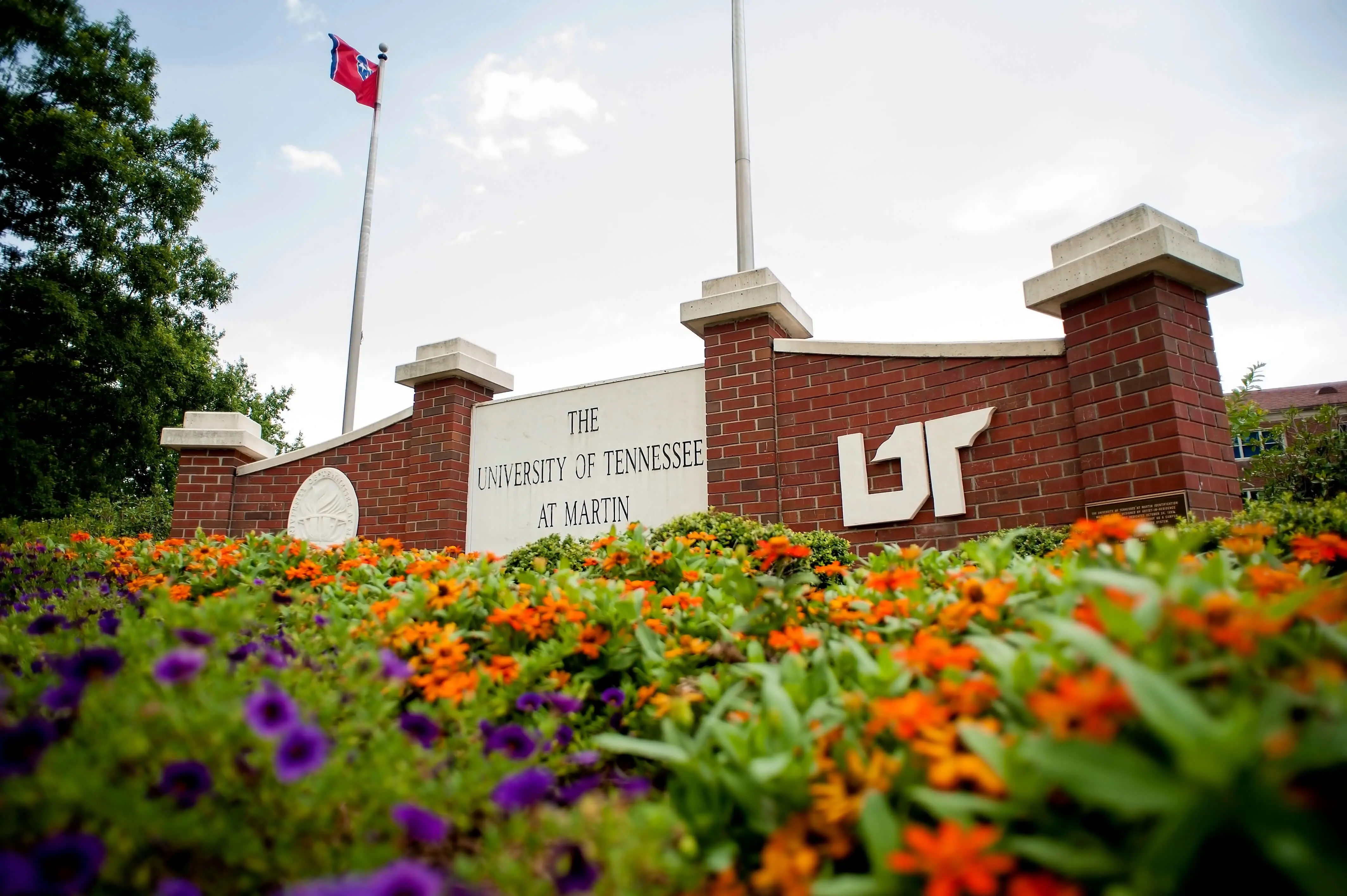 utm-11-2