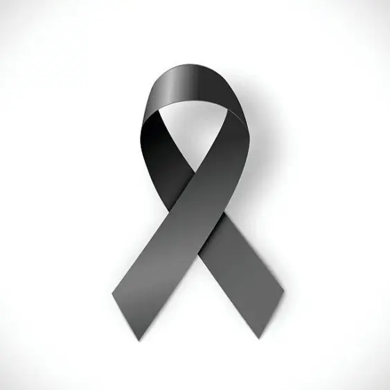 ribbon-6-2