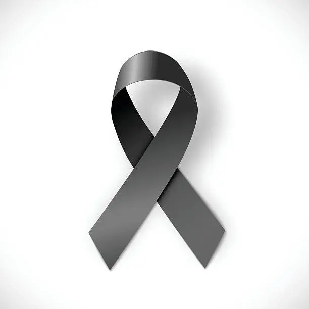 ribbon-6-2