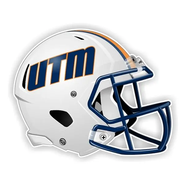 skyhawks-helmet-3