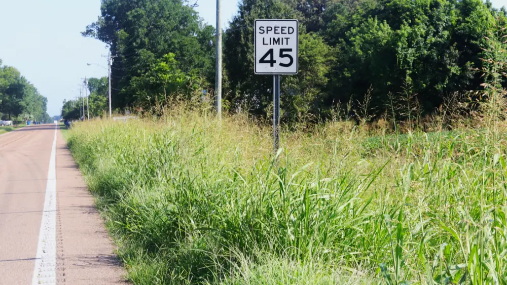 weeds-1