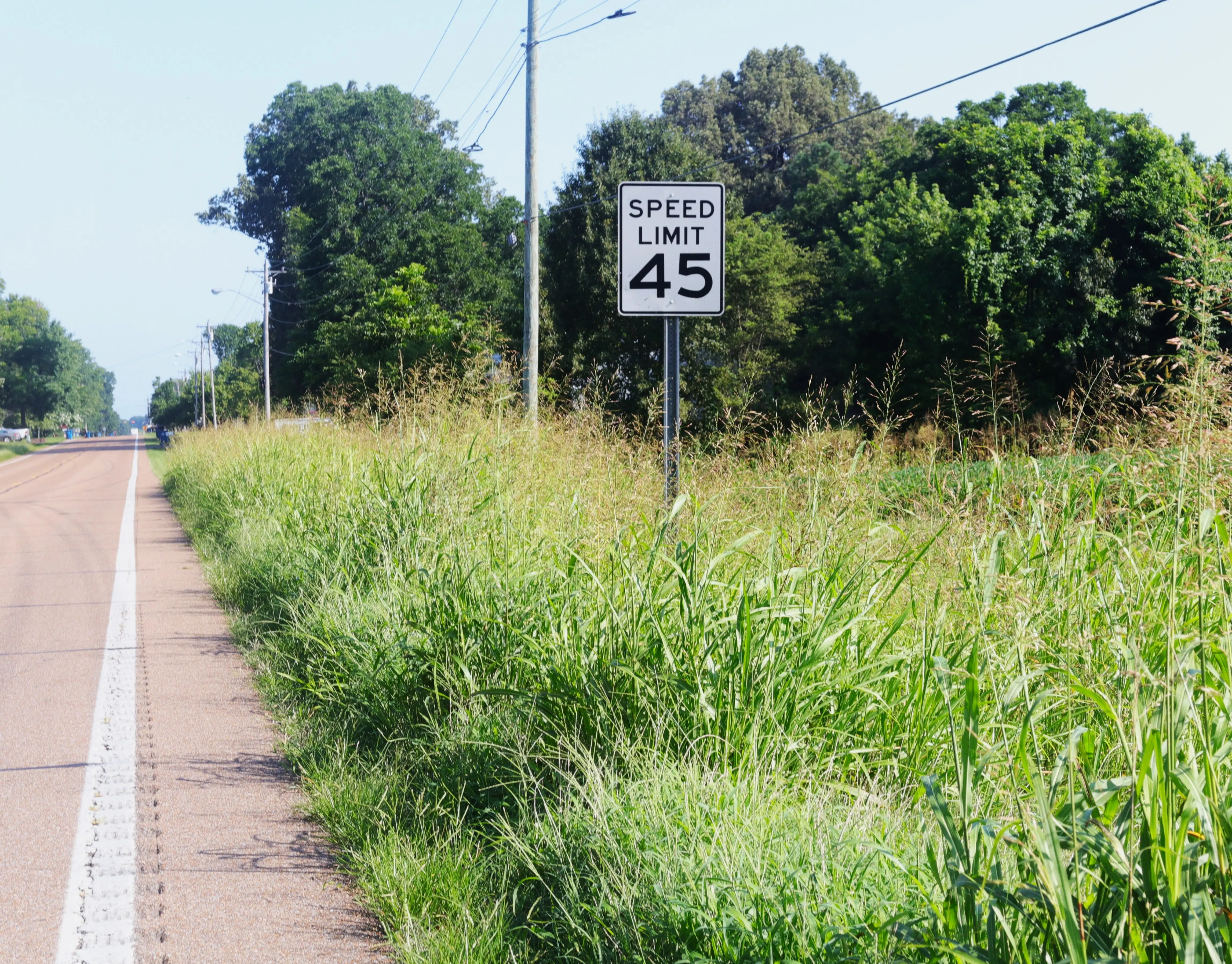 weeds-1