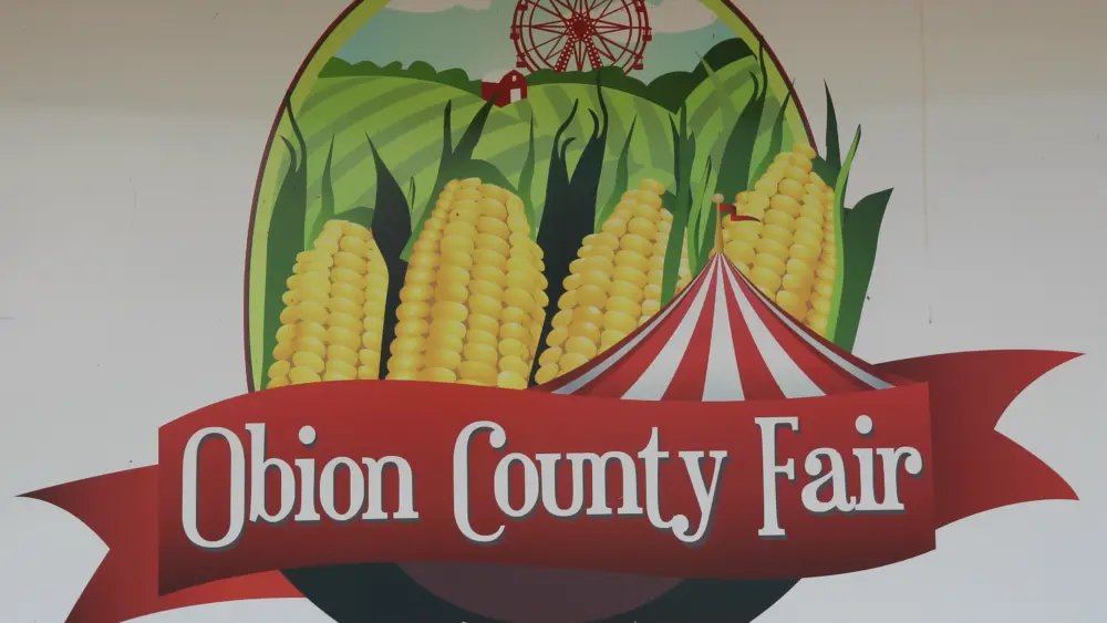 fair-15-4
