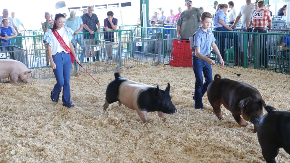 fair-27