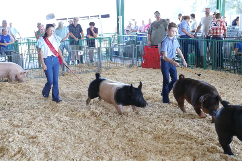 fair-27