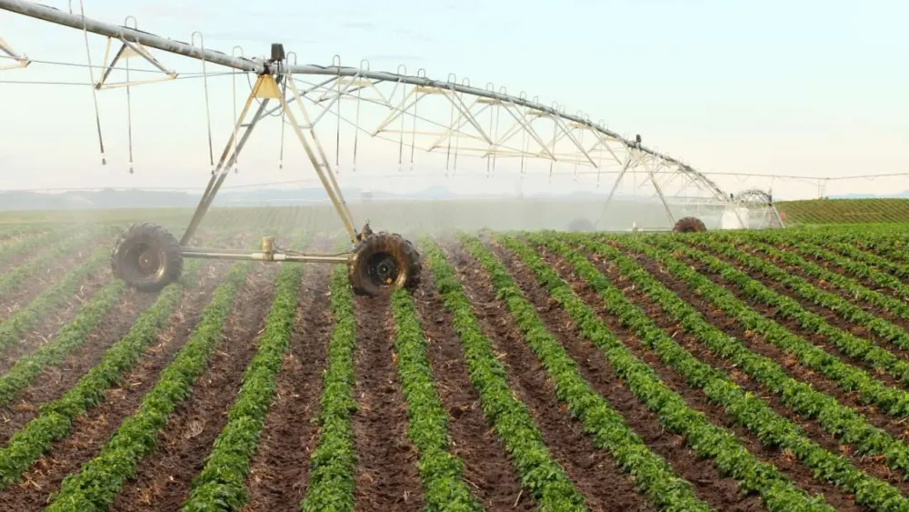 irrigation-2