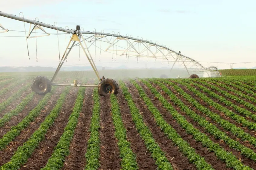 irrigation-2
