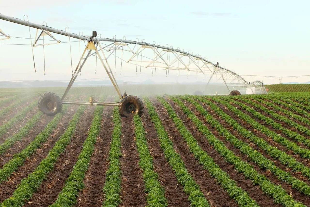 irrigation-2