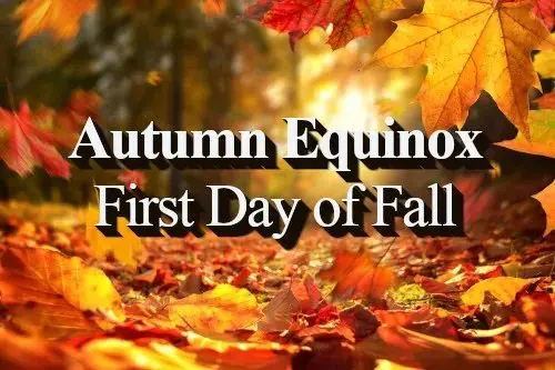 fall-1