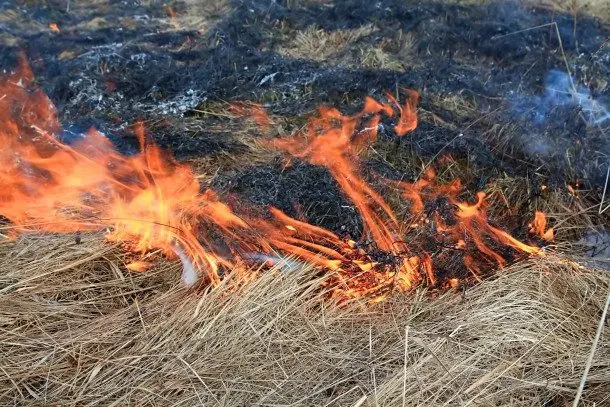 fire-18