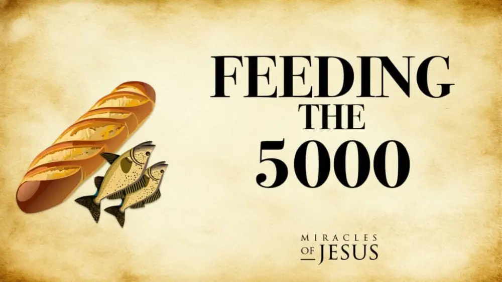 feeding-1