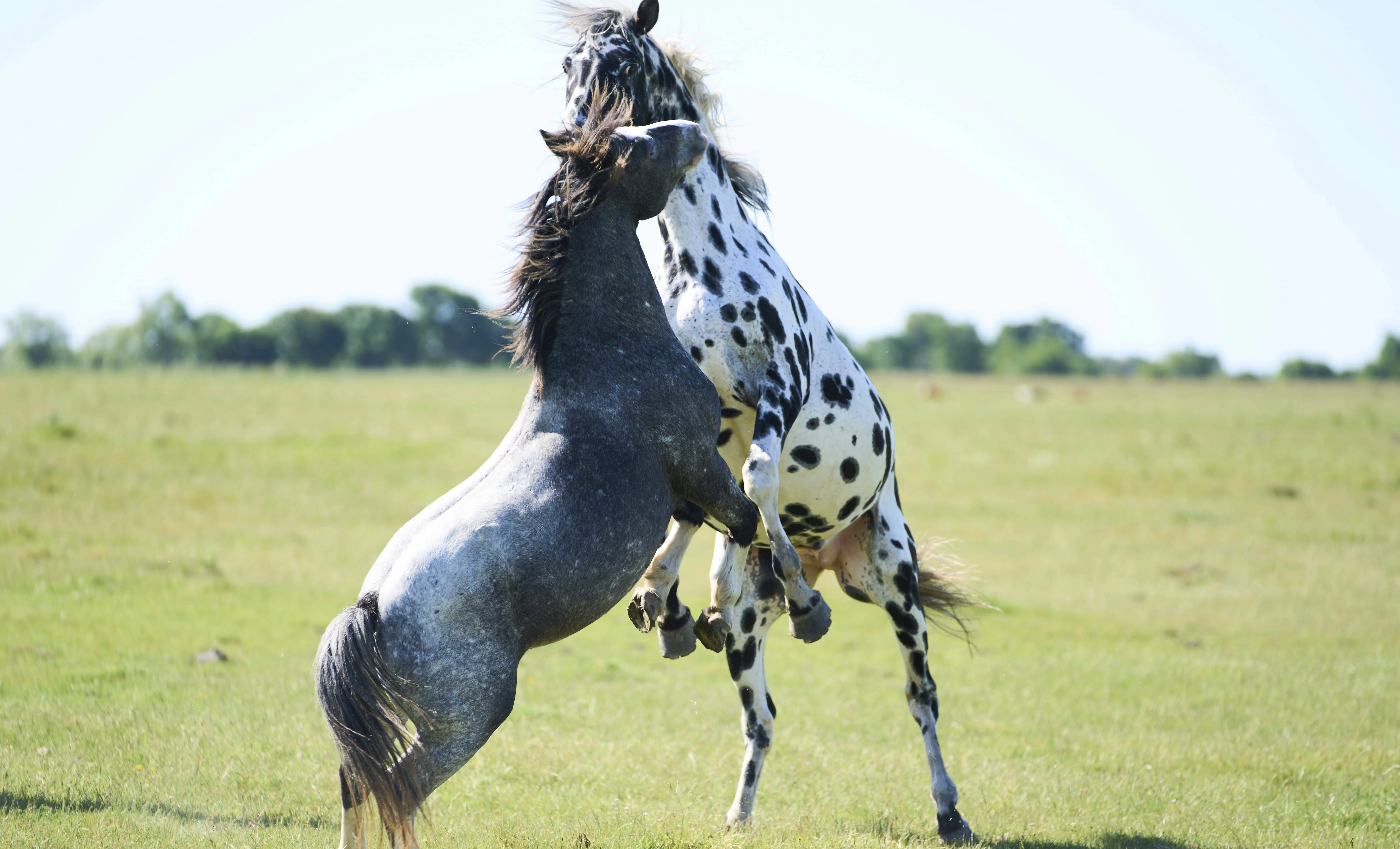 argentina-daily-life