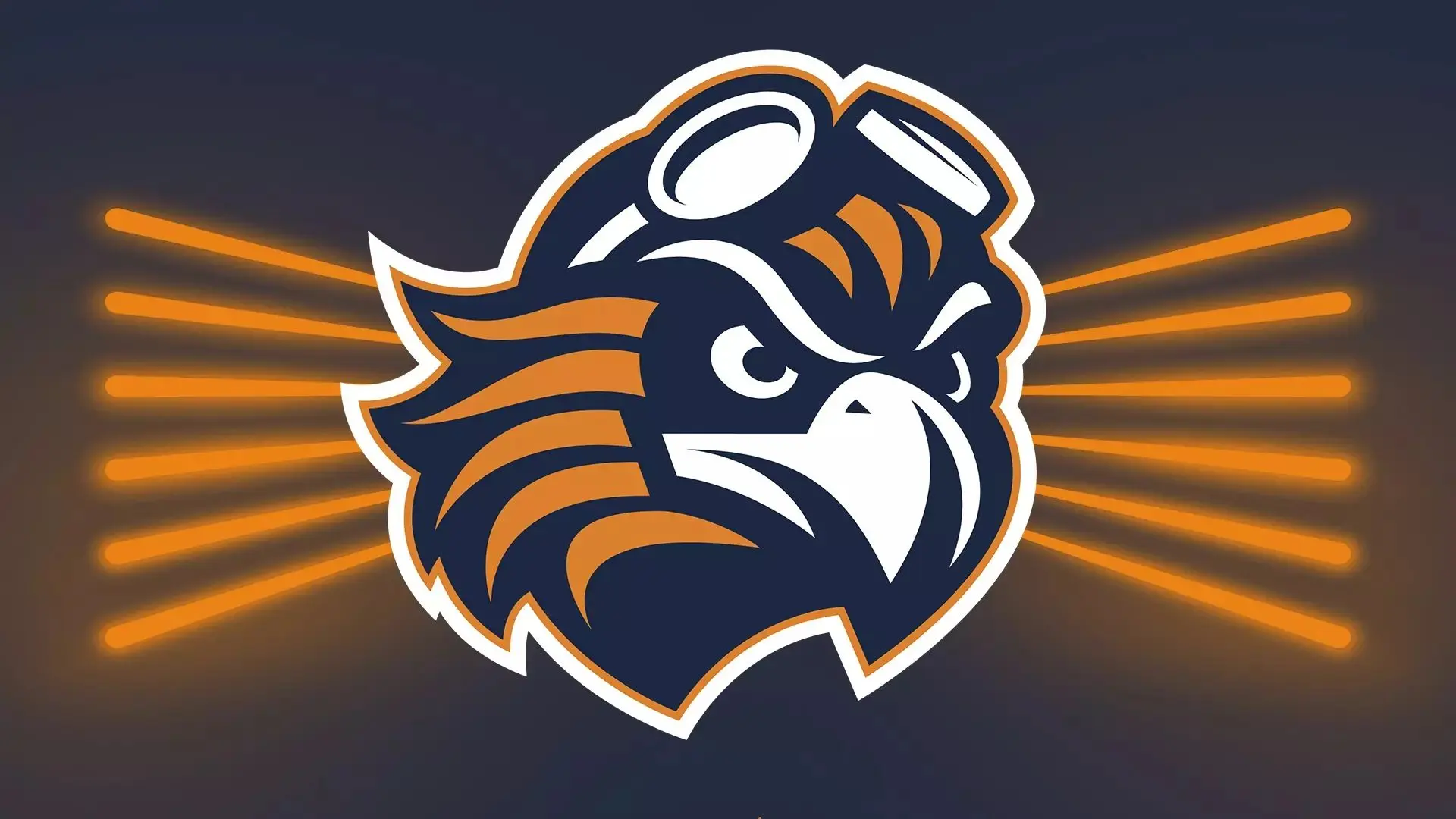 skyhawks-1-8