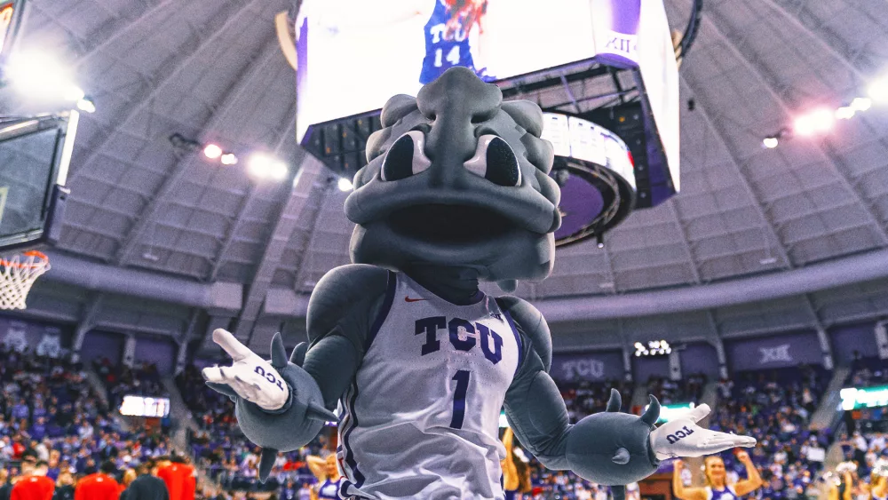 tcu-mascot367999