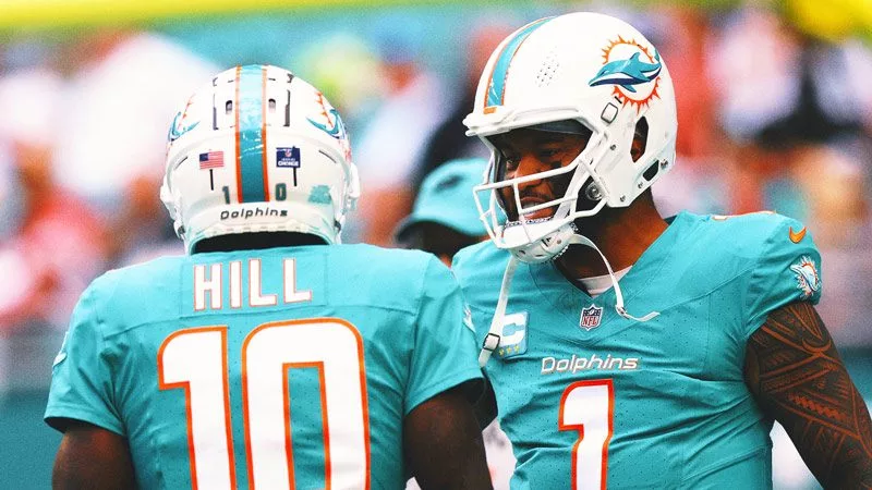 dolphins2993915