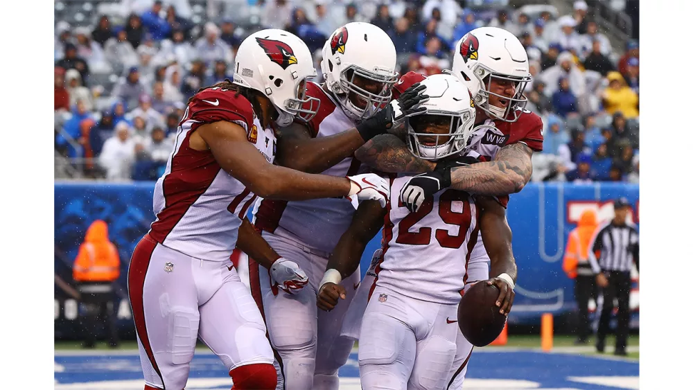 73054906-cardinals87520