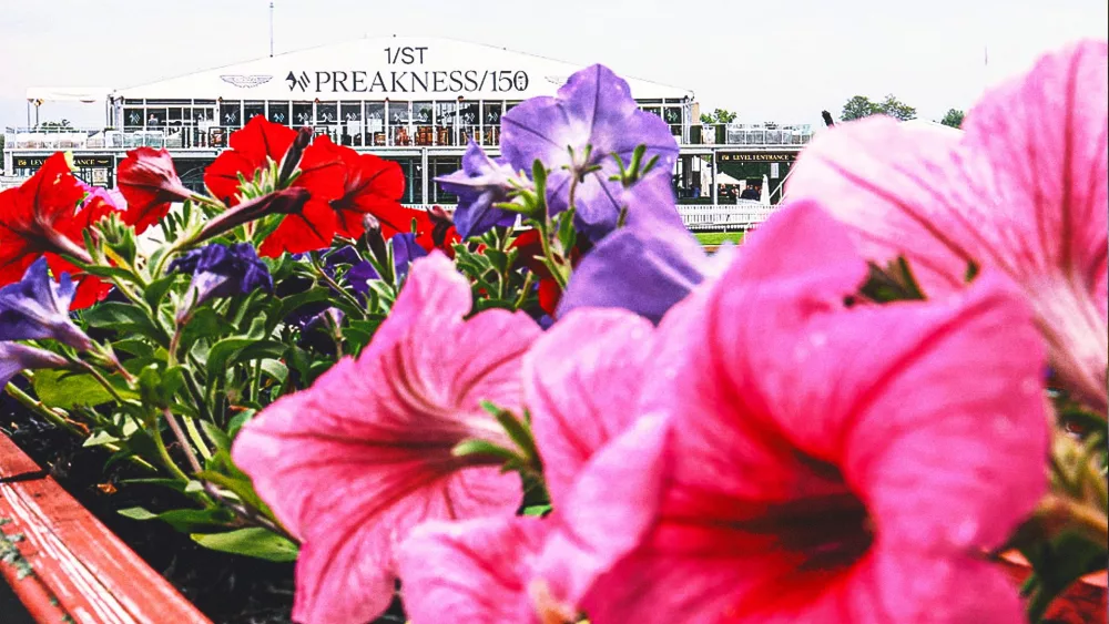 preakness-516991442