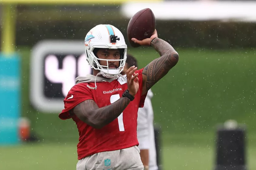 dolphins-training-camp500105