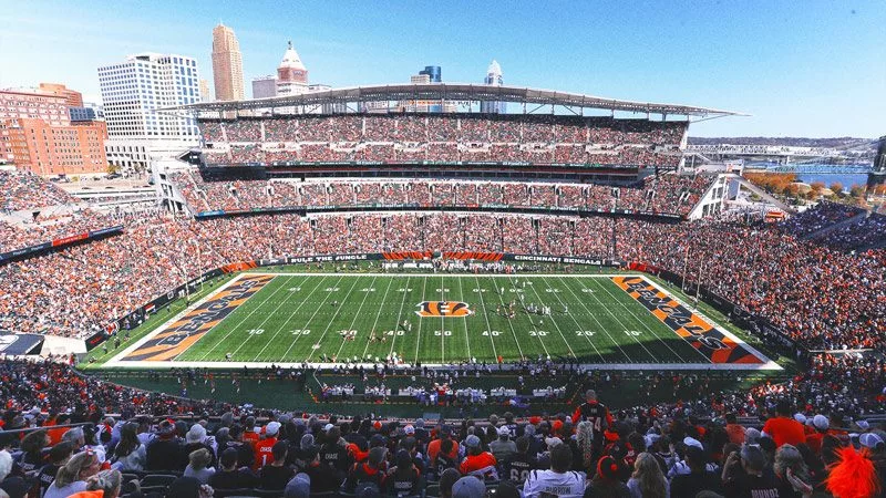 bengals1317043