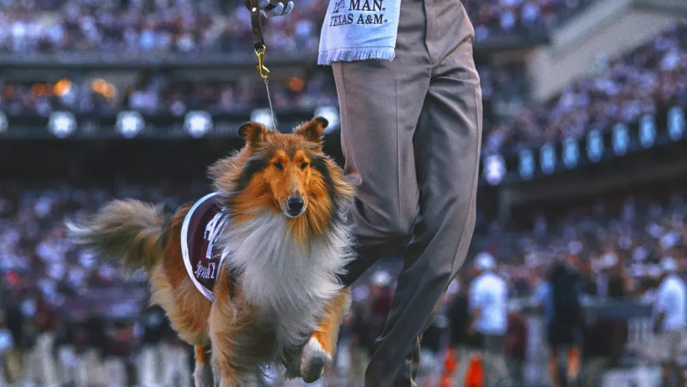texas-am-mascot199976