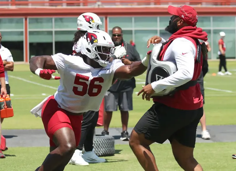 cardinals-preseason398807