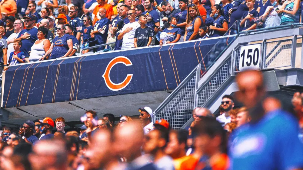 bears-logo348479