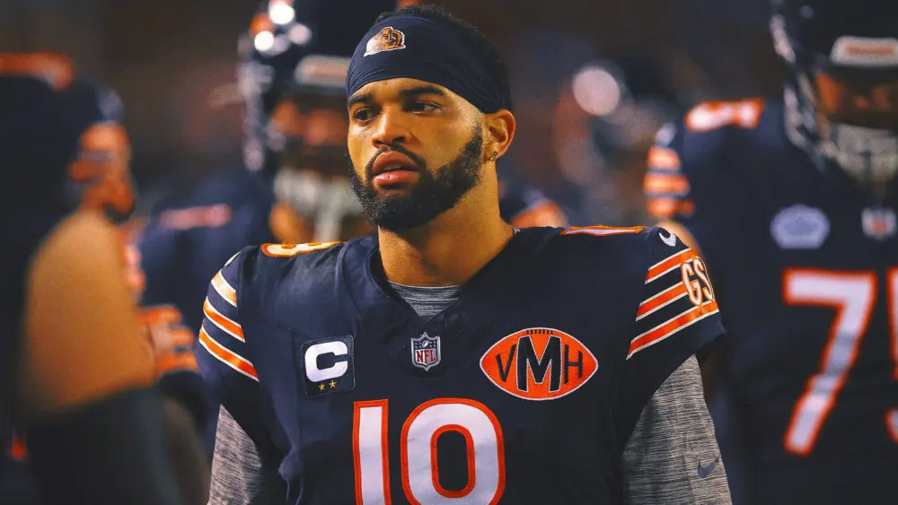 bearsh1-1415769