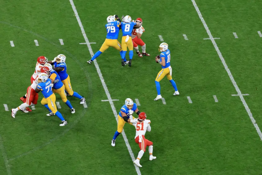 herbert-scaled223480