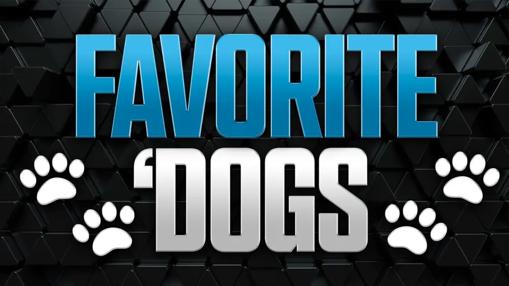 favorite-dogs1339091