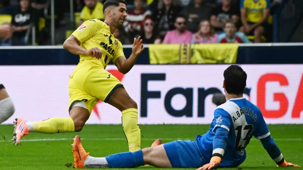 17620158884575816594