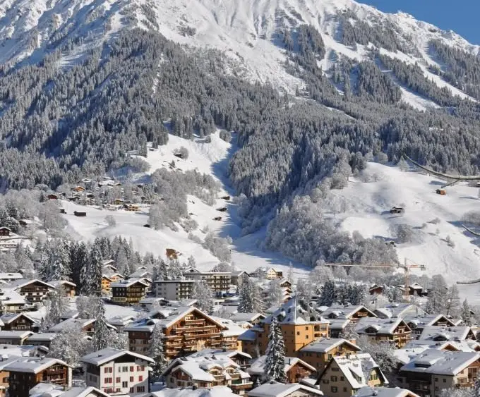 17620800633723746683