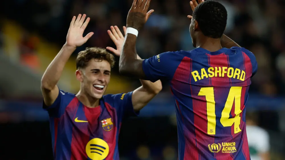 17621108529402490850