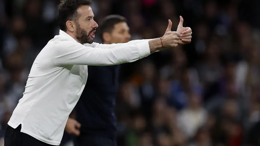 17621107116844626617