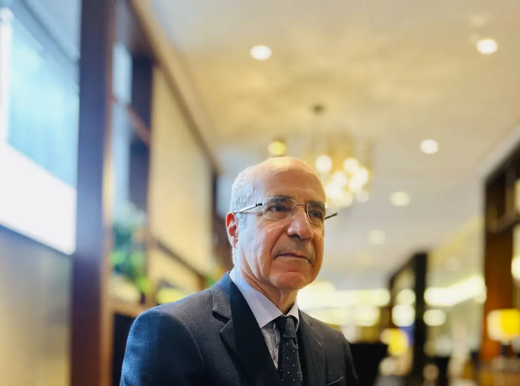 17625310210243452641