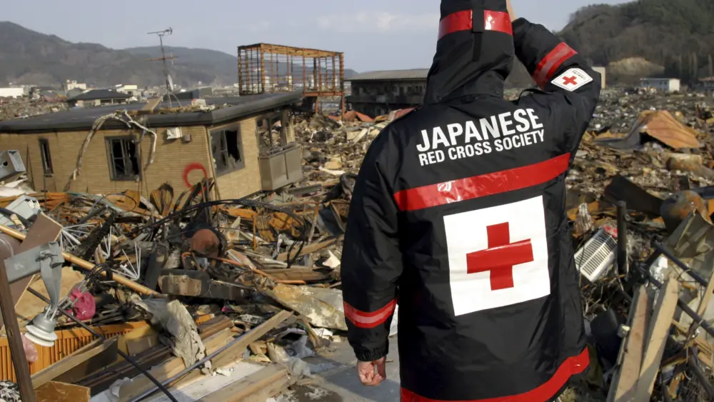 17626779352126956462