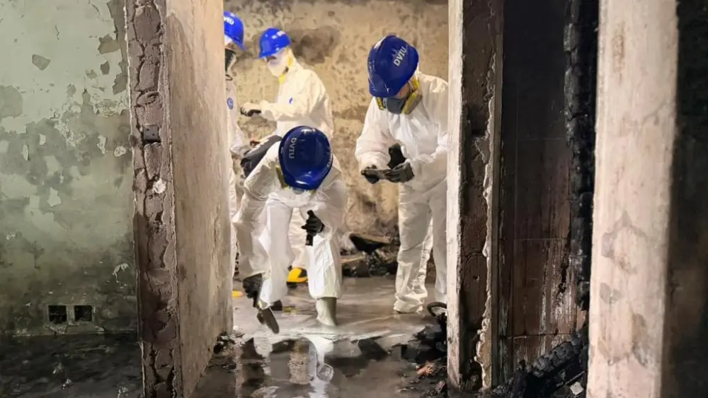 17645795177703268497