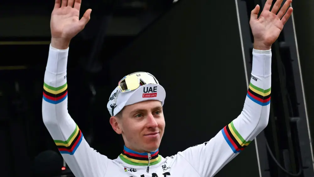 17650185032327314724