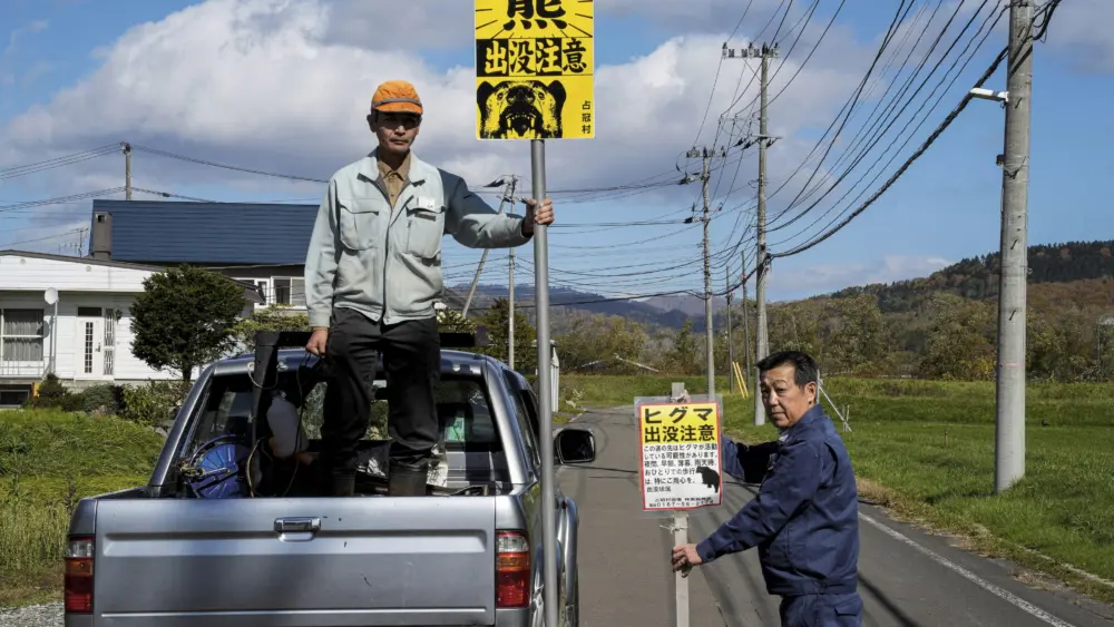 17640701366458672230