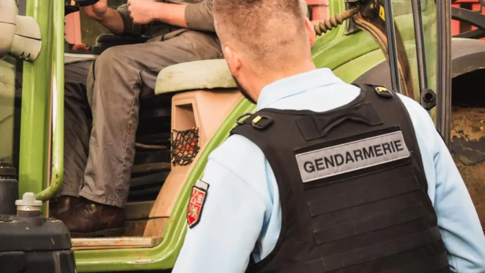 17651803894598242034