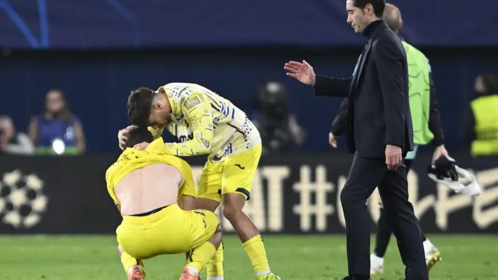 17654569916379141803