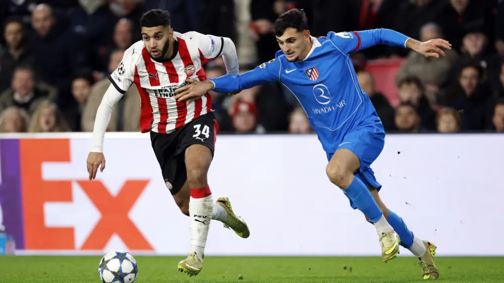 17654693122087186737